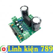  Mạch khuếch đại TDA7293 100W mono 12-32V đôi